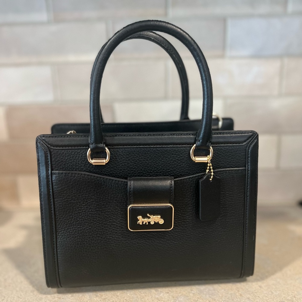 NWT coach purse. Never used. $500 bag